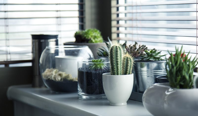 Green Interior Design